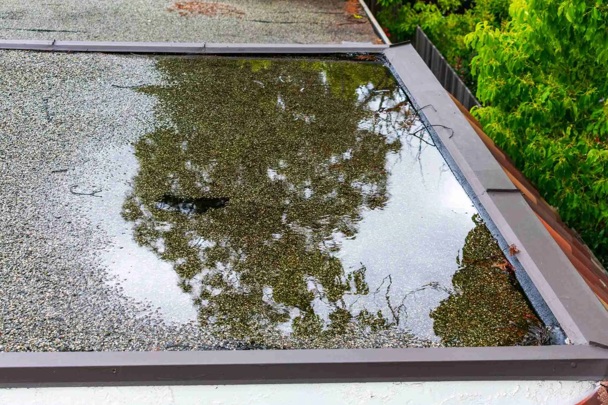 Water ponding on a flat roof causing damage and algae growth